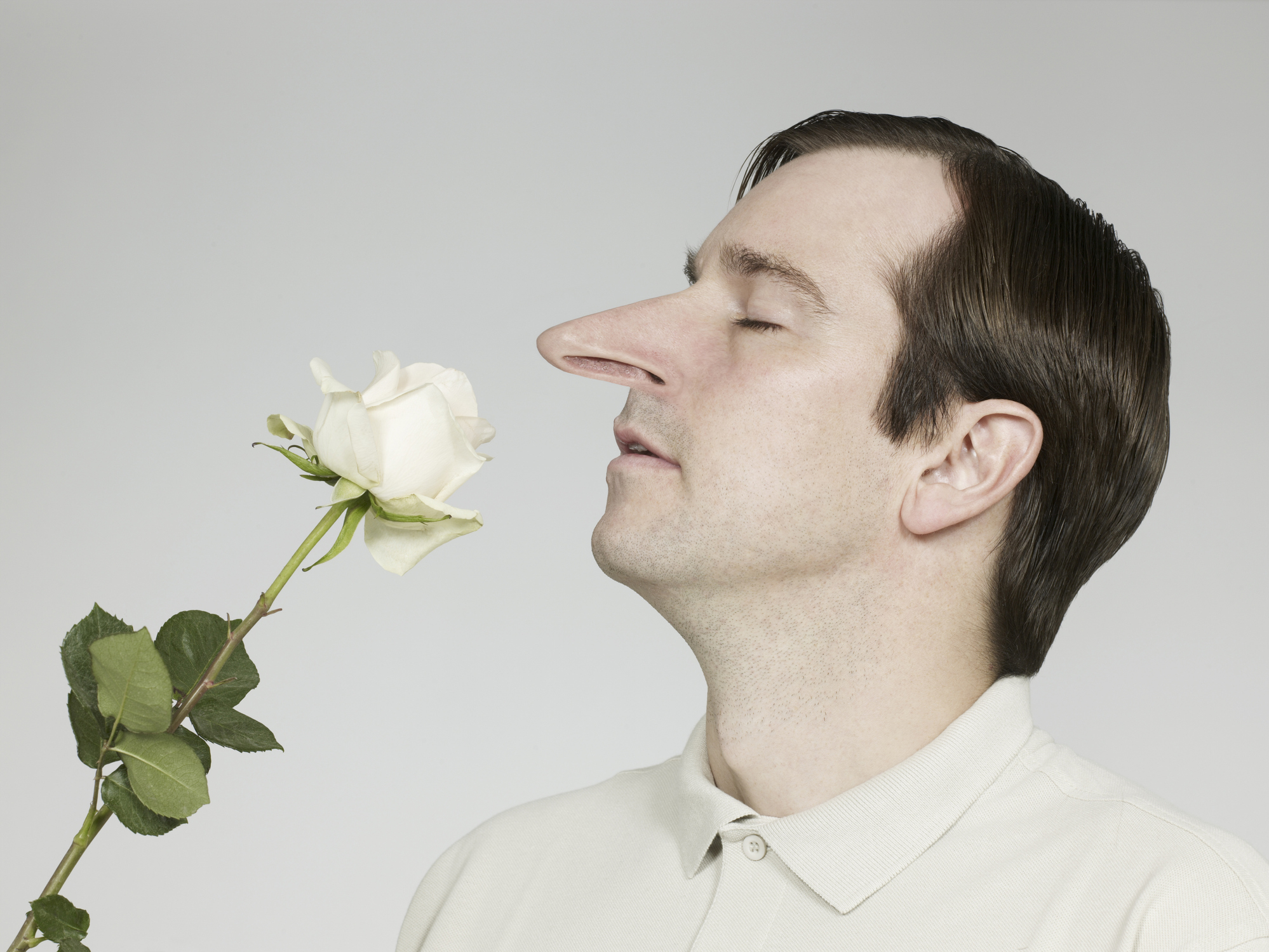 Man with exaggerated long nose smelling a white rose