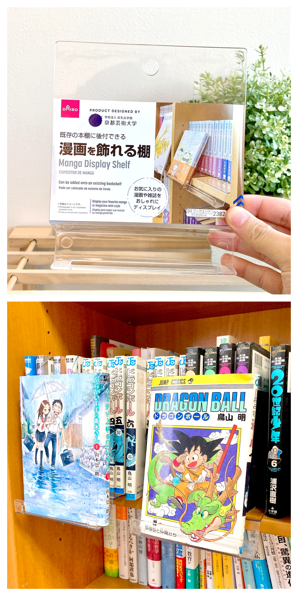 DAISO（ダイソー）の便利な収納アイテム「漫画を飾れる棚」