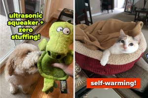 reviewer's dog with green alligator squeaky toy and reviewer's cat in a self-warming bed
