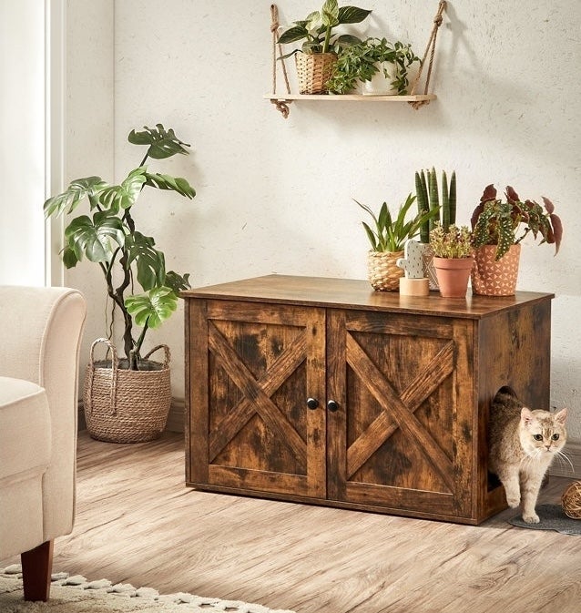 the brown litter box enclosure shaped like a cabinet with cat emerging from the side