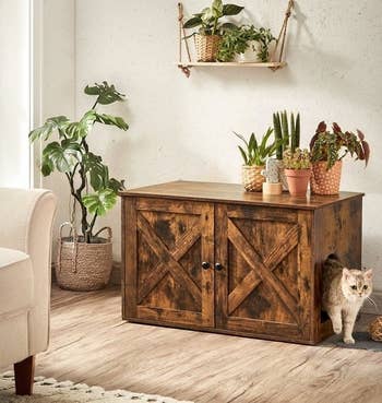 the brown litter box enclosure shaped like a cabinet with cat emerging from the side