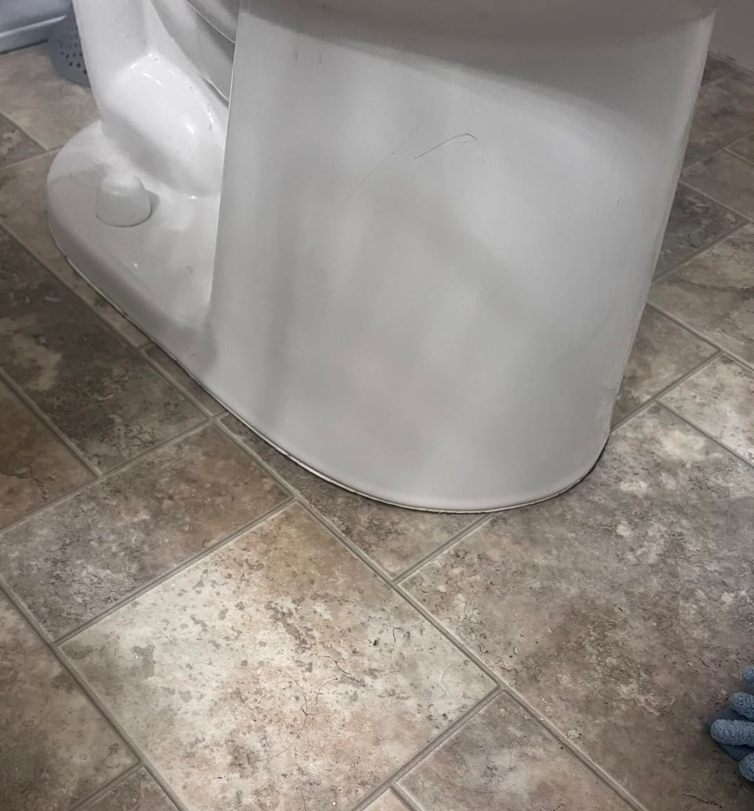 reviewer before photo of toilet base without any sealant