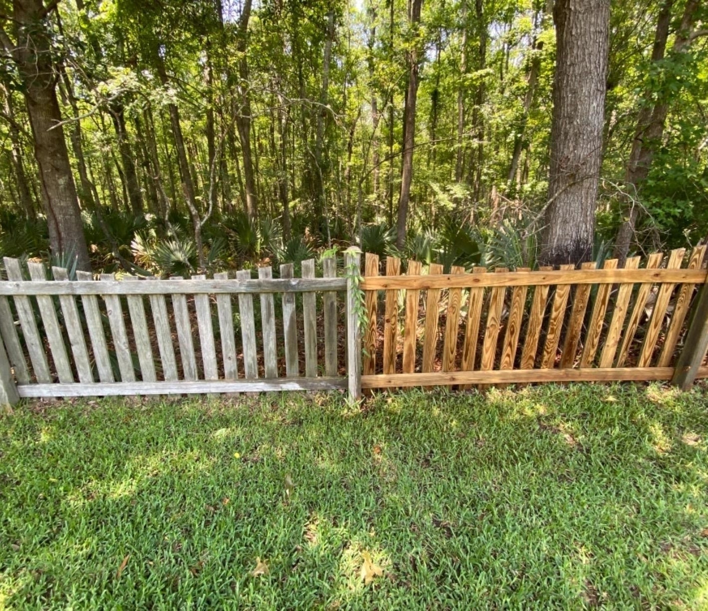 reviewer's wooden fence with one side still very dirty and other side cleaned with the pressure washer