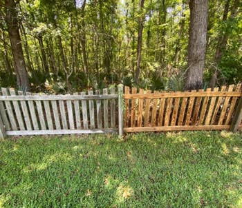 reviewer's wooden fence with one side still very dirty and other side cleaned with the pressure washer