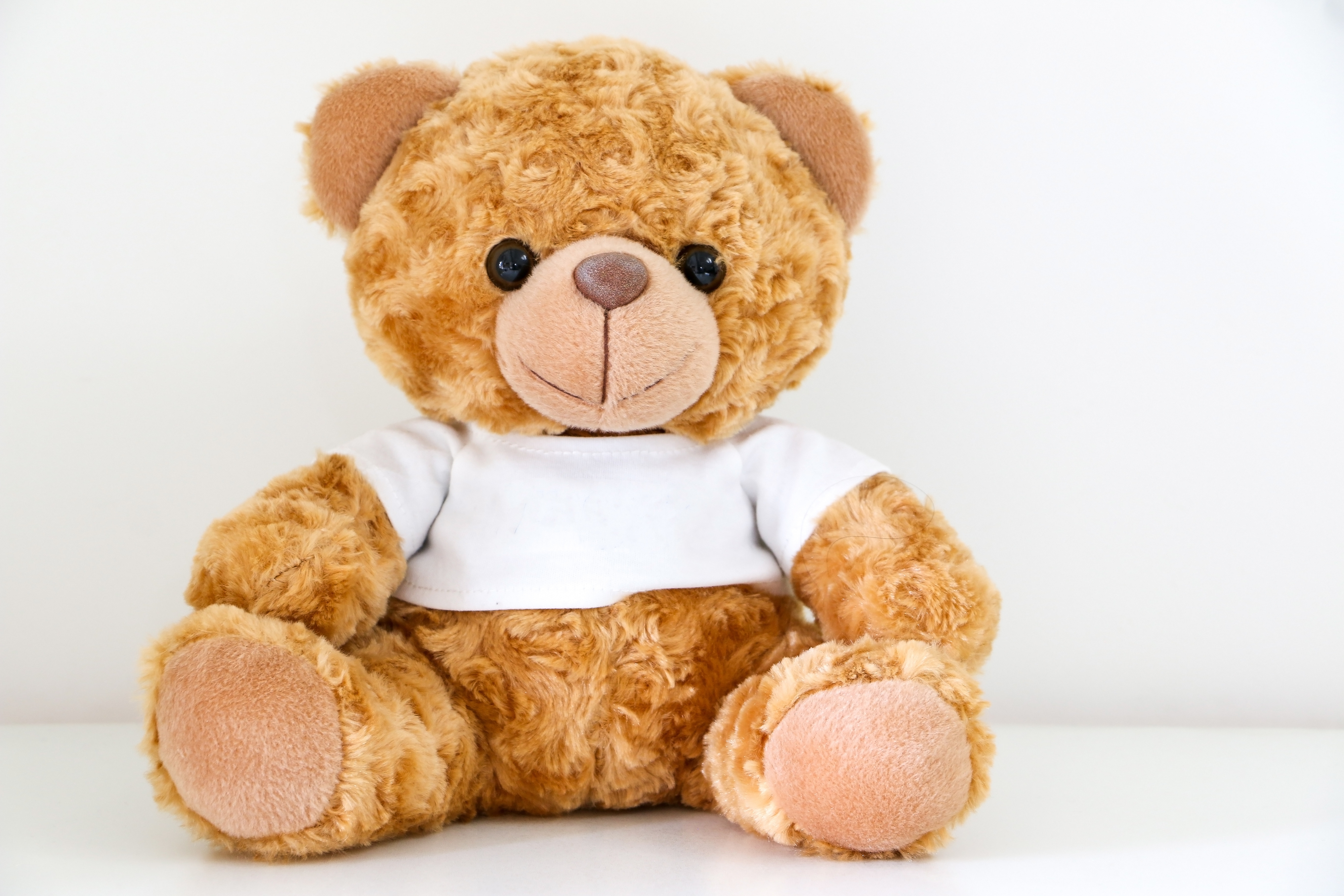 A plush teddy bear sitting against a plain background, wearing a white shirt, related to travel-themed content