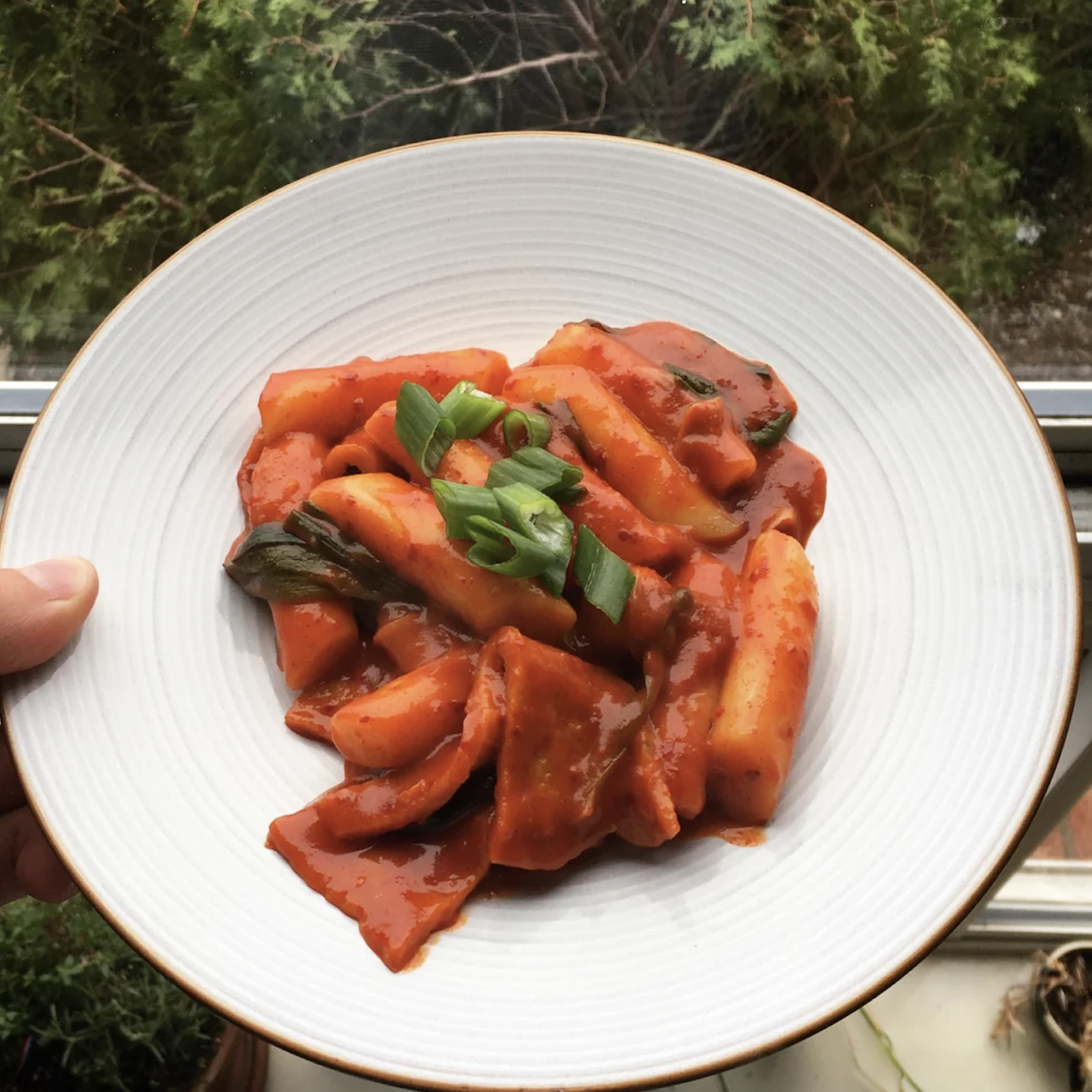 A hand holds a plate with penne pasta and tomato sauce garnished with green herbs