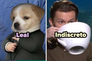 Meme de dos paneles; a la izquierda, un perro animado disfrazado como persona y etiquetado "Leal"; a la derecha, un hombre tomando de una taza grande con la palabra "Indiscreto"