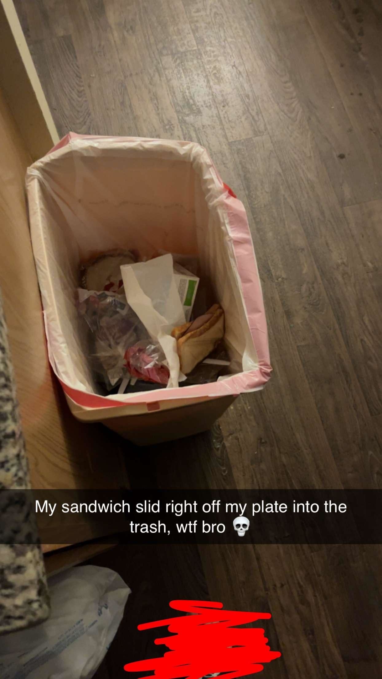 Person stares at trash bin where their sandwich has fallen off the plate. Text expresses dismay at the mishap