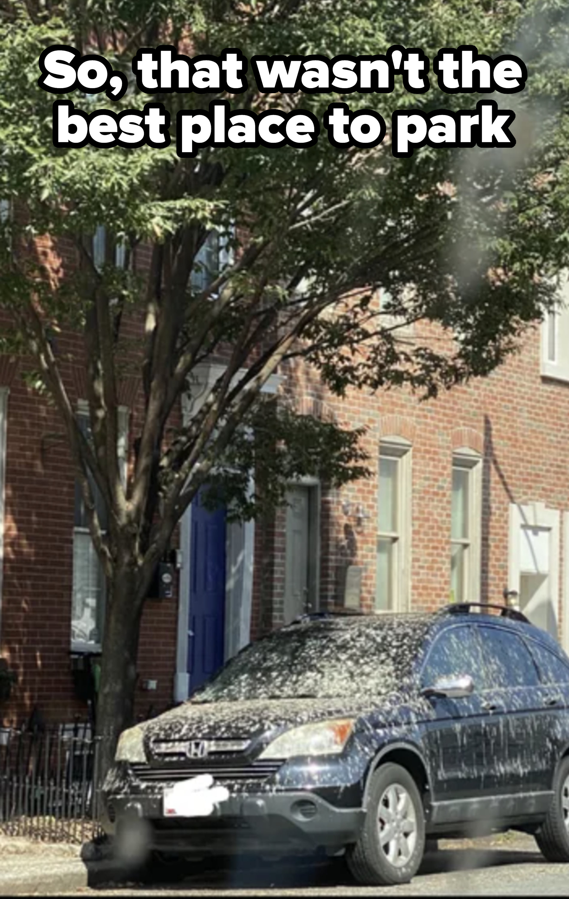 Car covered in bird droppings parked in front of a building with a tree nearby