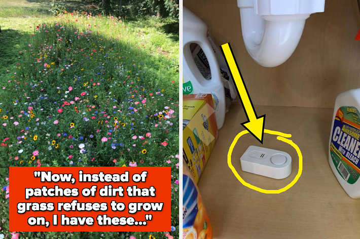 A lush garden bed beside a leak detector under sink