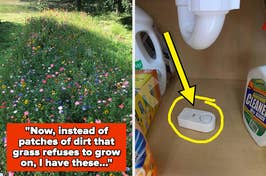 A lush garden bed beside a leak detector under sink