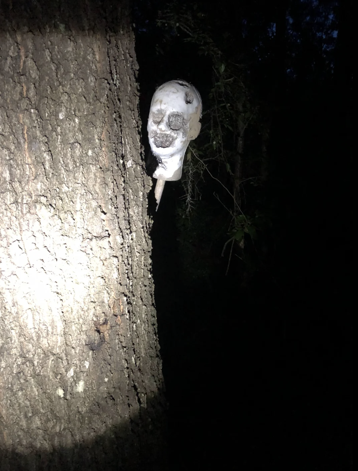 A spooky mask attached to a tree in the dark, illuminated from below