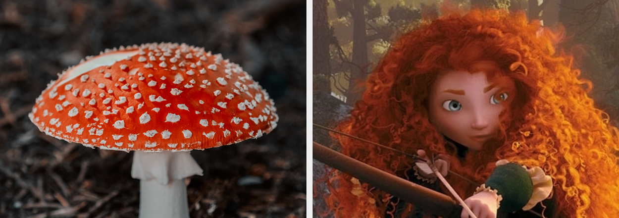 Left: An Amanita muscaria mushroom. Right: Merida from Brave with her bow