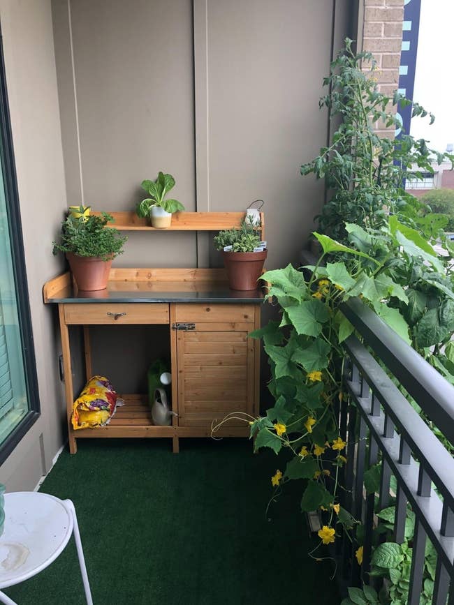 Wooden balcony works presumption with herbs and blooming plants, artificial writer flooring, and gardening supplies