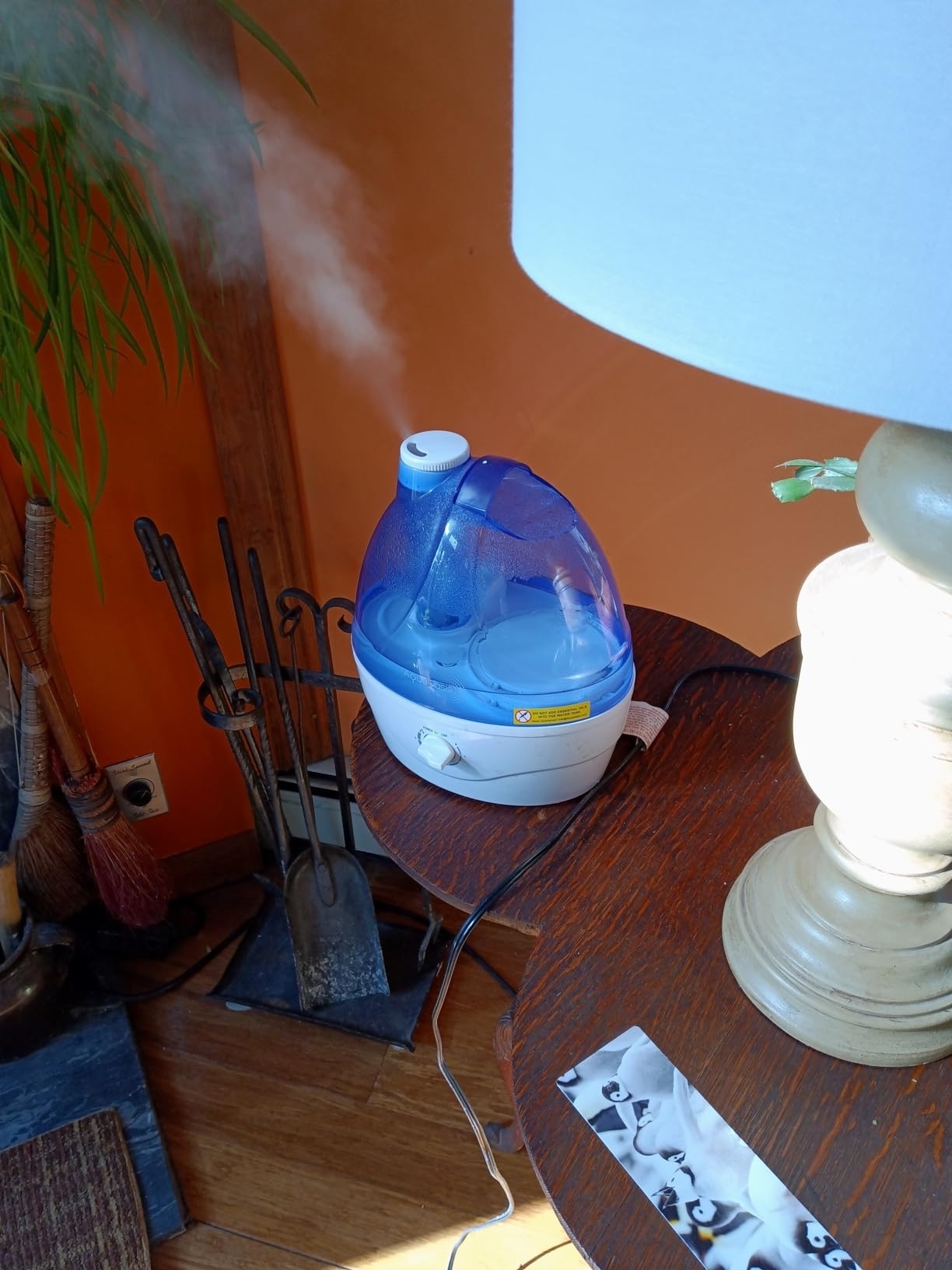 A humidifier operating next to a lamp and indoor plants