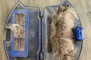 Dust and debris collected inside a transparent vacuum cleaner filter compartment, indicating it needs cleaning
