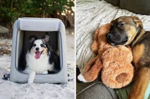 (left) travel carrier (right) snuggle puppy