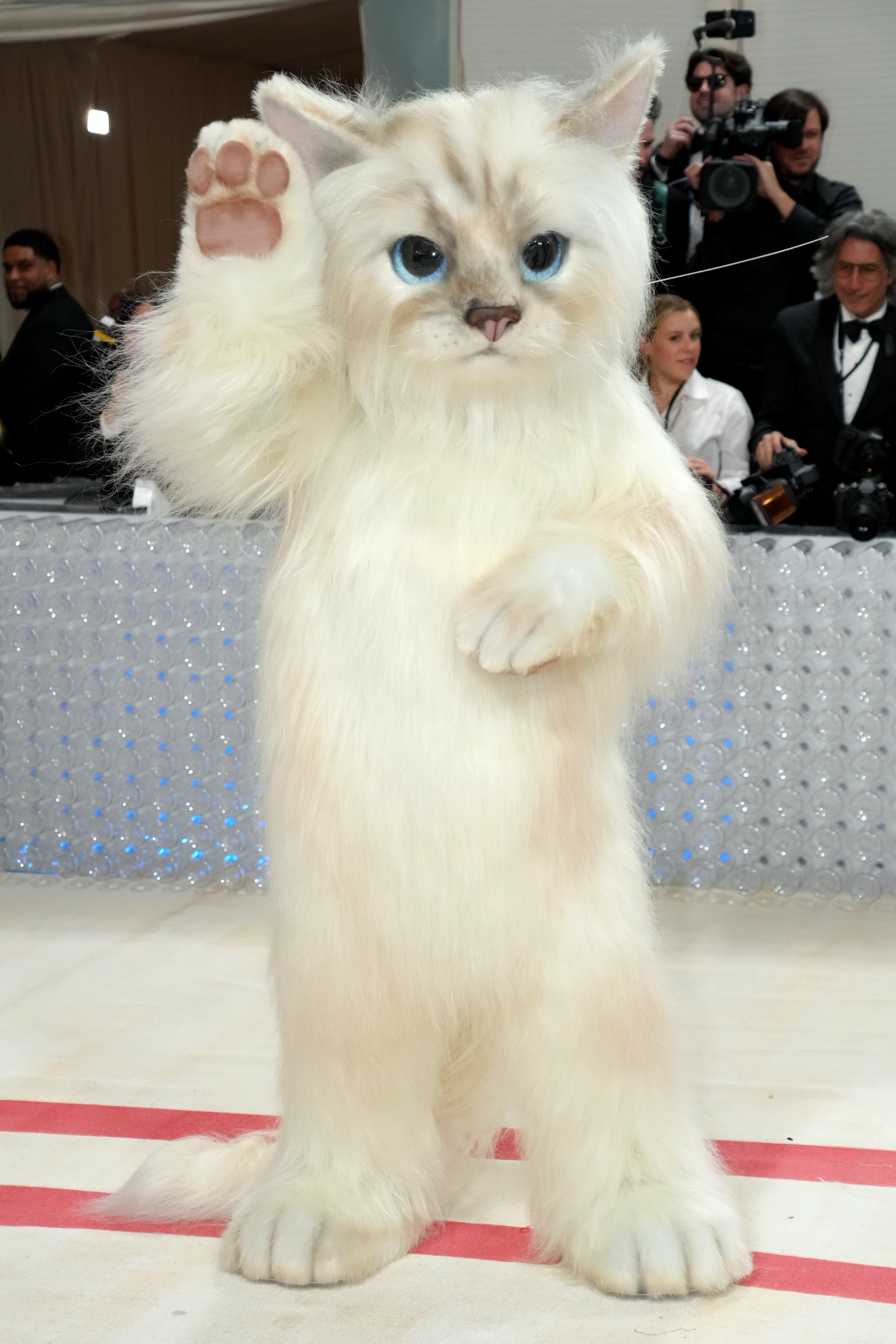Person in a costume resembling the character Mr. Mistoffelees from the musical &quot;Cats&quot; standing on a red carpet