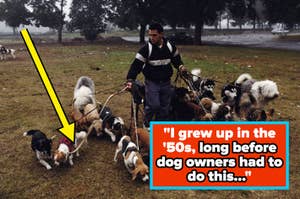 text: I grew up in the 50s, long before dog owners had to do this