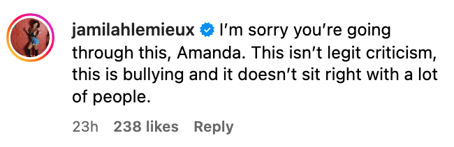 Tweet from user jamilahlemieux offering support to Amanda, mentioning the situation isn&#x27;t criticism but bullying