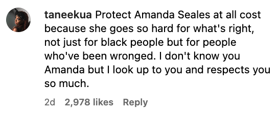 A supportive comment on a social media post commending Amanda Seales for her activism and expressing personal admiration