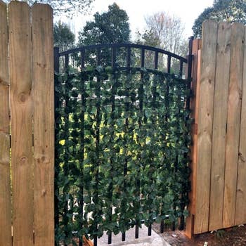 Iron gate with a privacy screen of artificial green leaves, set between wooden fence panels