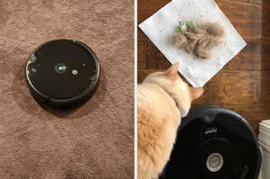 A robotic vacuum on the floor next to a pile of pet fur; a cat observes the cleaning process