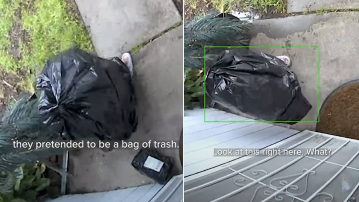 Surveillance footage from a home in Sacramento captured a thief pretend to be a bag of trash.