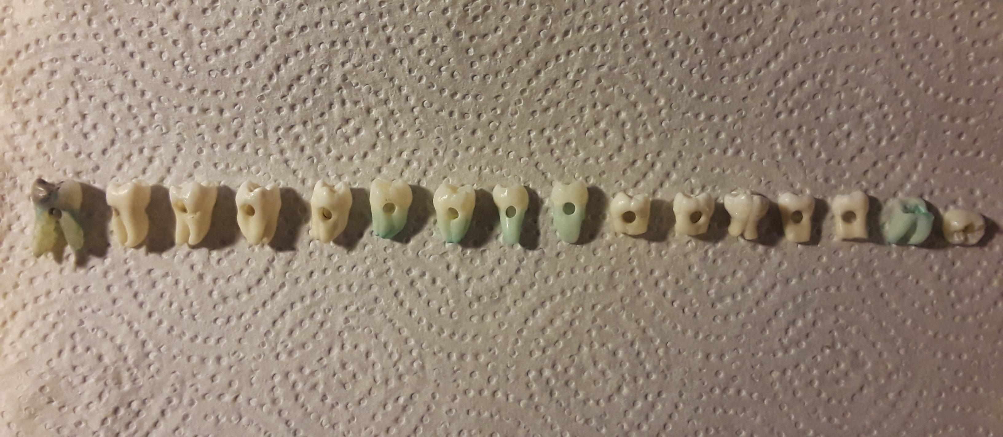 A row of variously shaped and sized teeth set against a textured background