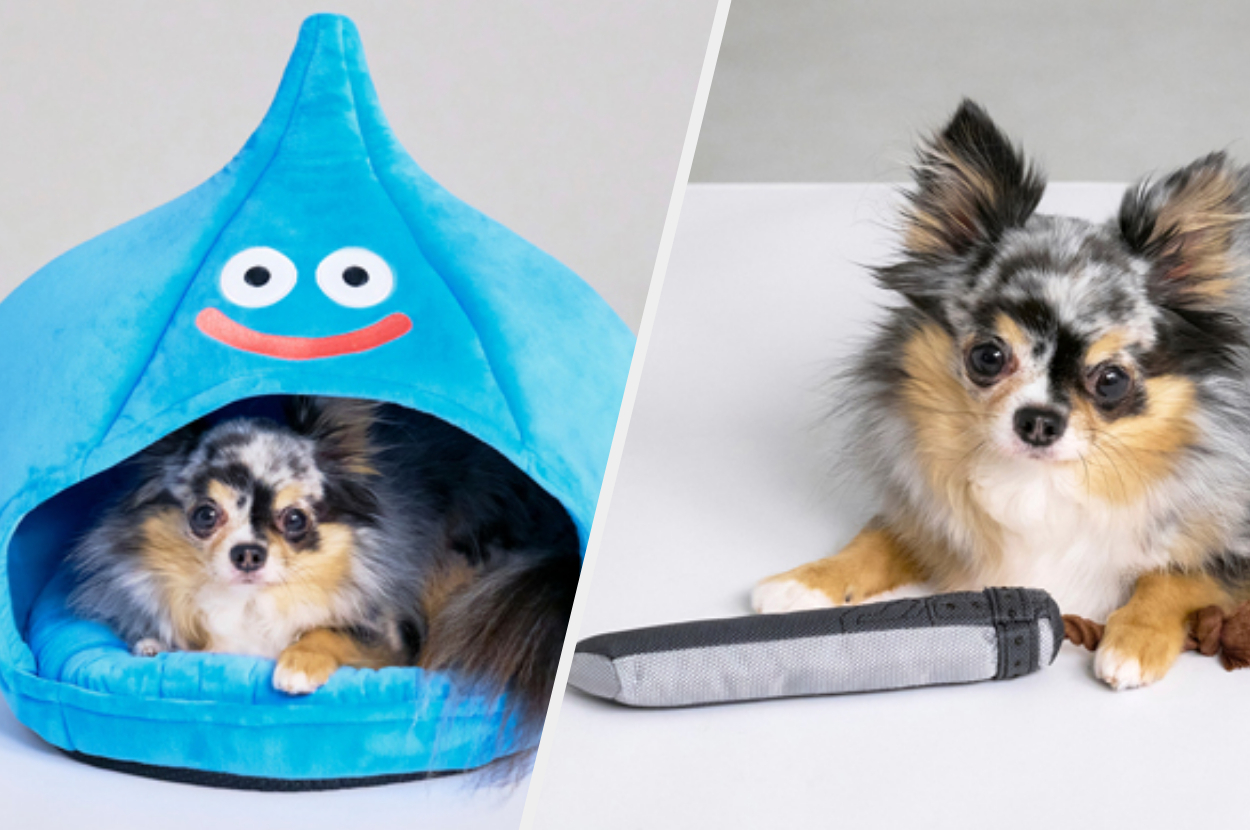 ドーム型ペットハウス スライム」 ※商品はすべて開発中のもの。開発