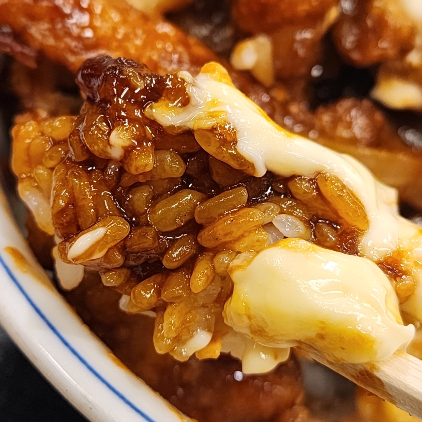 かつやのおすすめフード「トンテキとチキンカツの合い盛り丼」