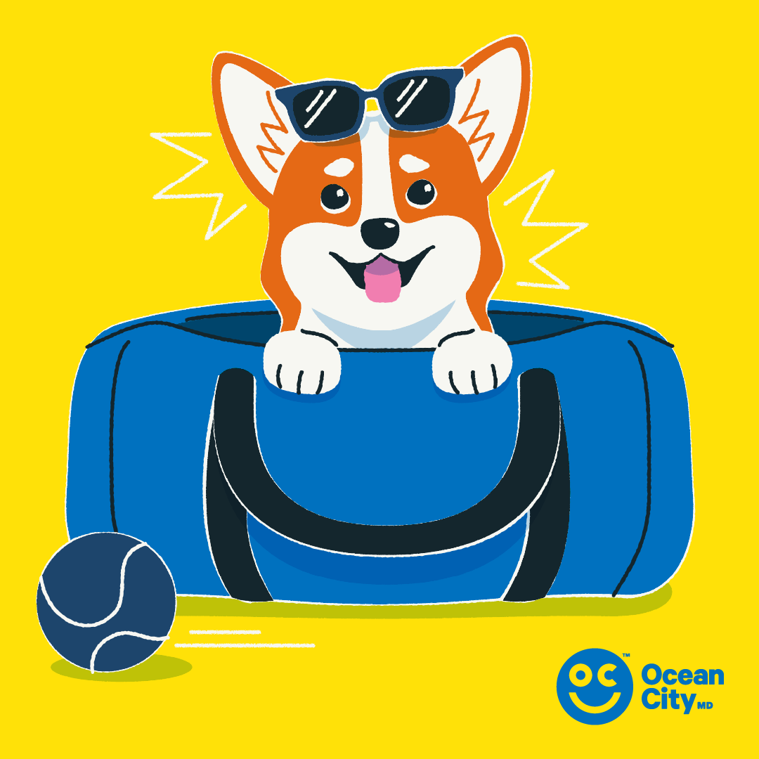 Illustration of a smiling cartoon corgi with sunglasses on a suitcase next to a beach ball, promoting Ocean City