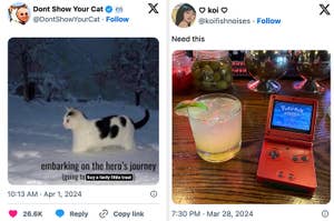 Left: A cat in snow with caption "embarking on the hero's journey (going to buy a tasty little treat)." Right: A drink beside a red Pokemon-themed game console