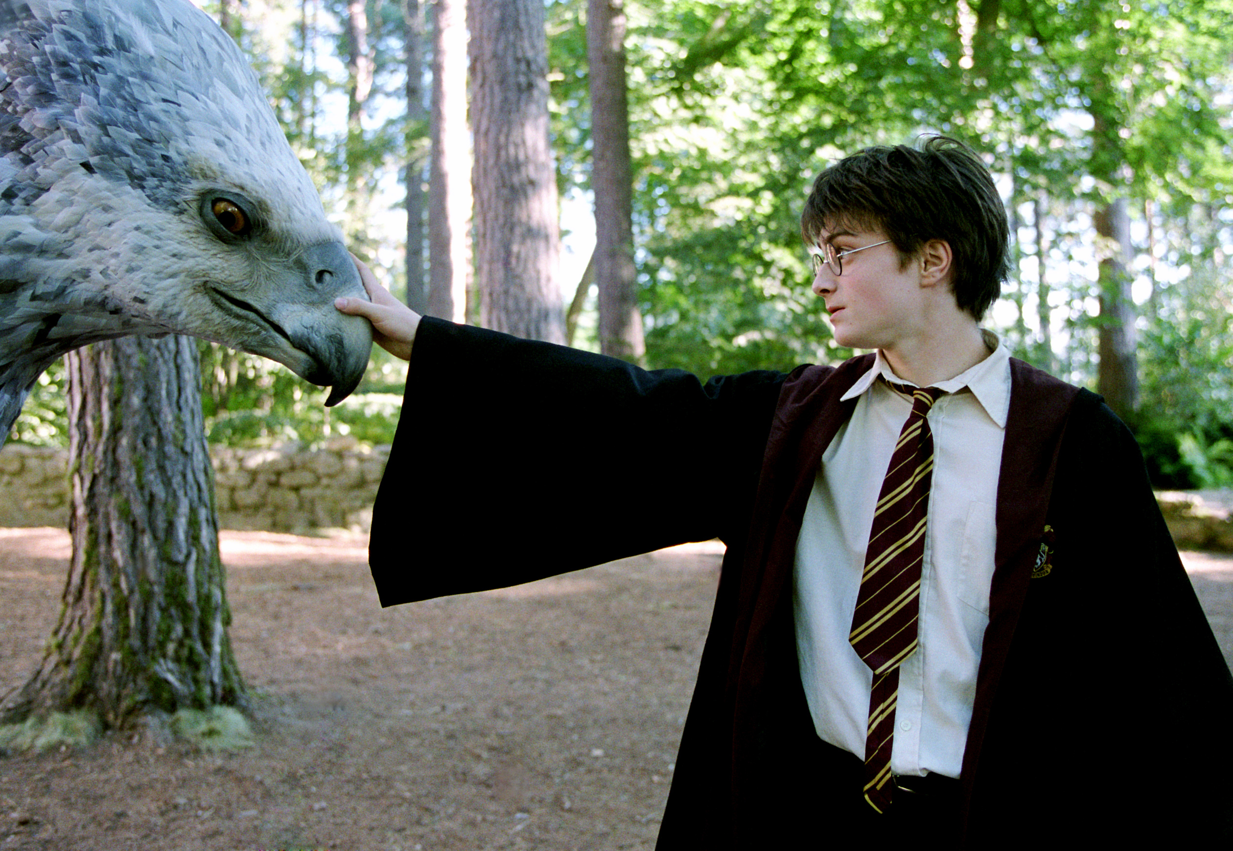 Harry Potter in school uniform affectionately interacts with a large, lifelike hippogriff in a forest setting