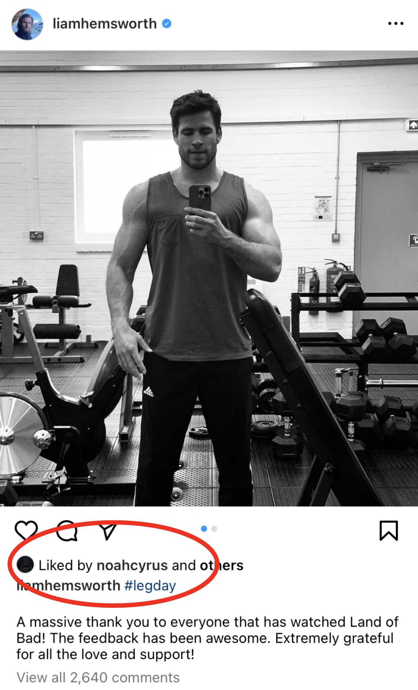 Screenshot of Liam Hemsworth&#x27;s Instagram post
