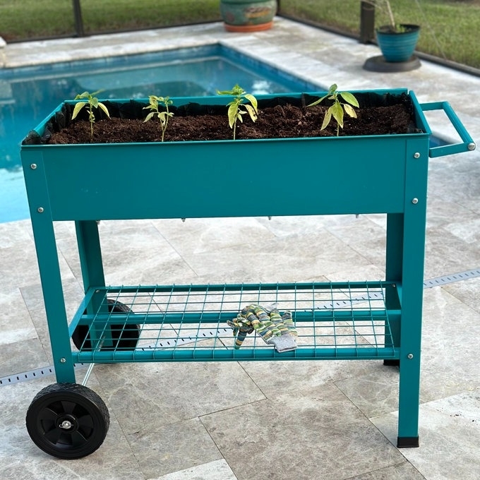 Raised garden bed on wheels with small plants, set by a poolside, with a shelf below holding gardening gloves