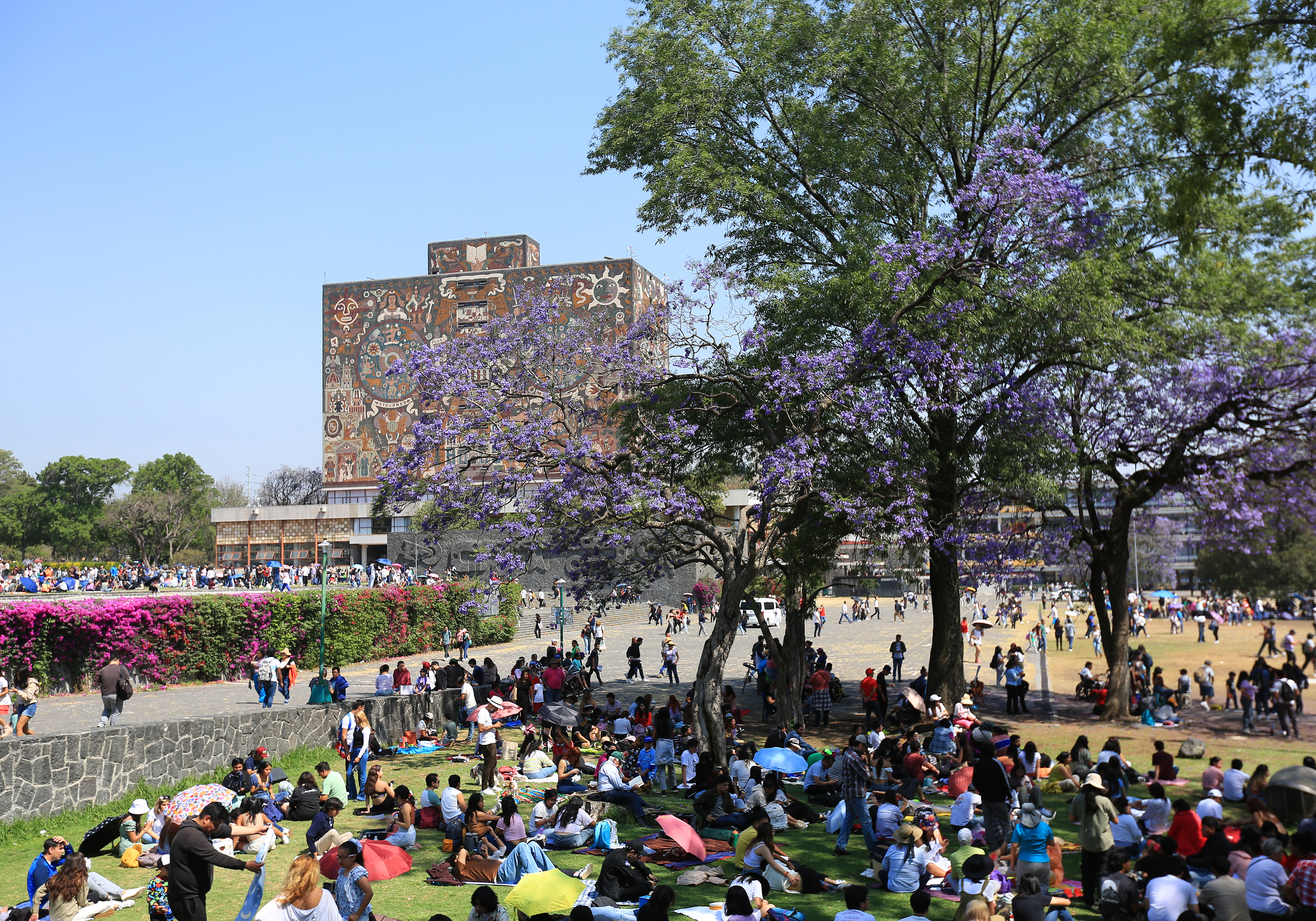 People gather in a park with blooming trees and a large building with mosaic in the background