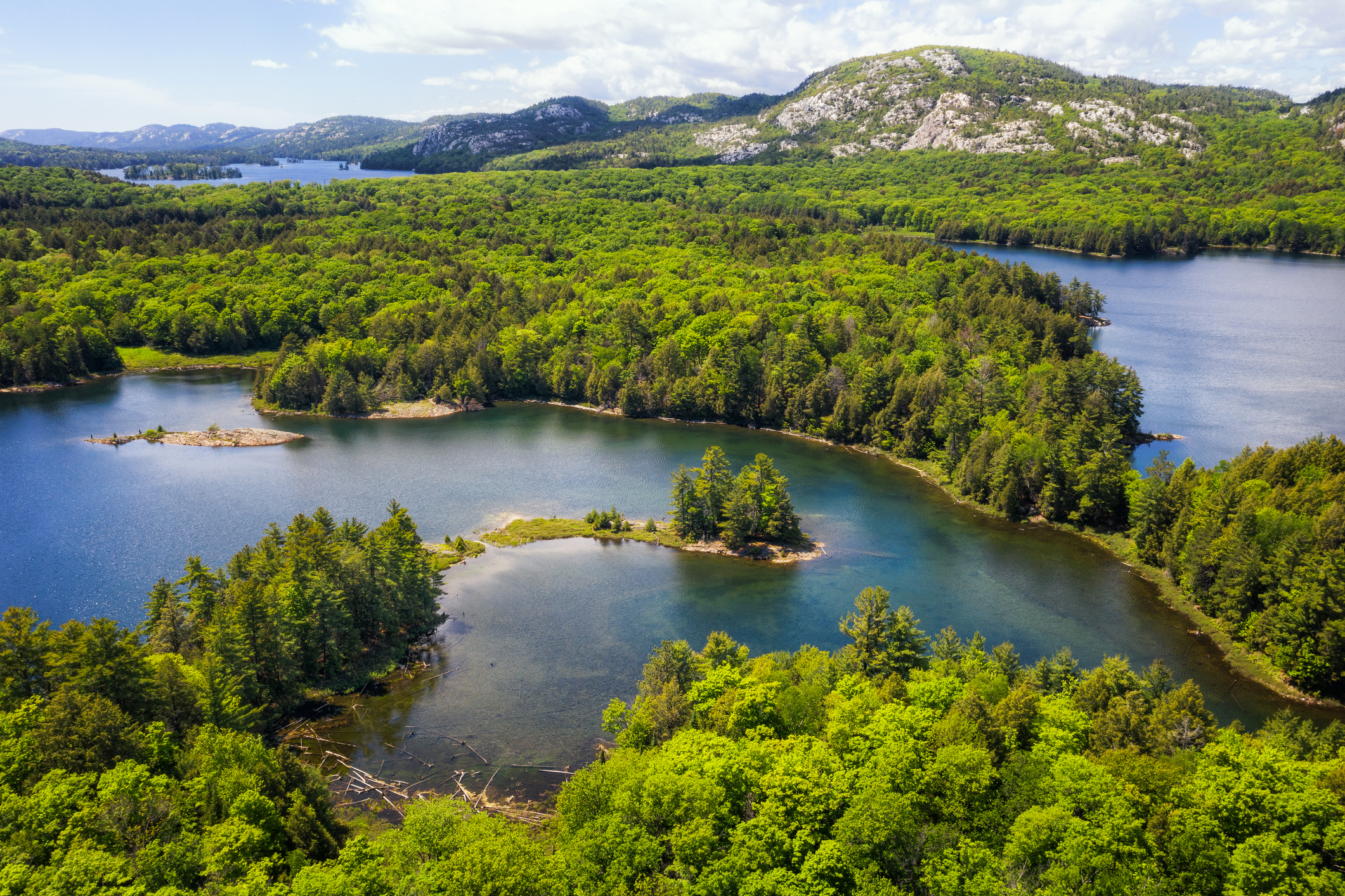 Aerial view of a serene lake with surrounding forest and mountains in the distance