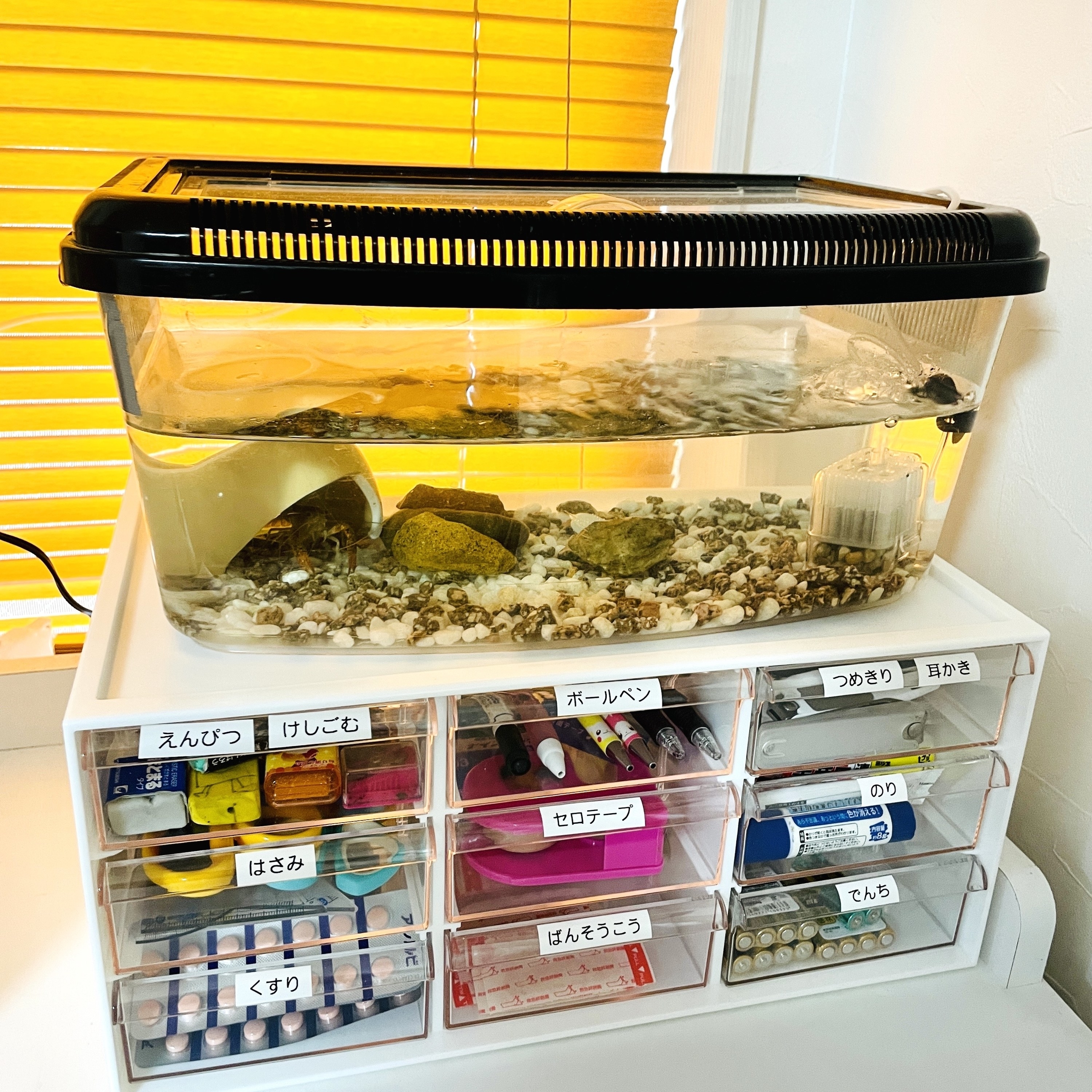 ニトリのおすすめ収納アイテム「レターケース9個引出し」