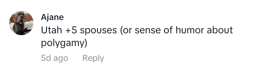 Comment on a post joking about Utah and polygamy, referencing five spouses