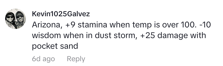 Comment with text: User lists attributes like a character stat sheet relevant to Arizona weather, including stamina and damage with pocket sand