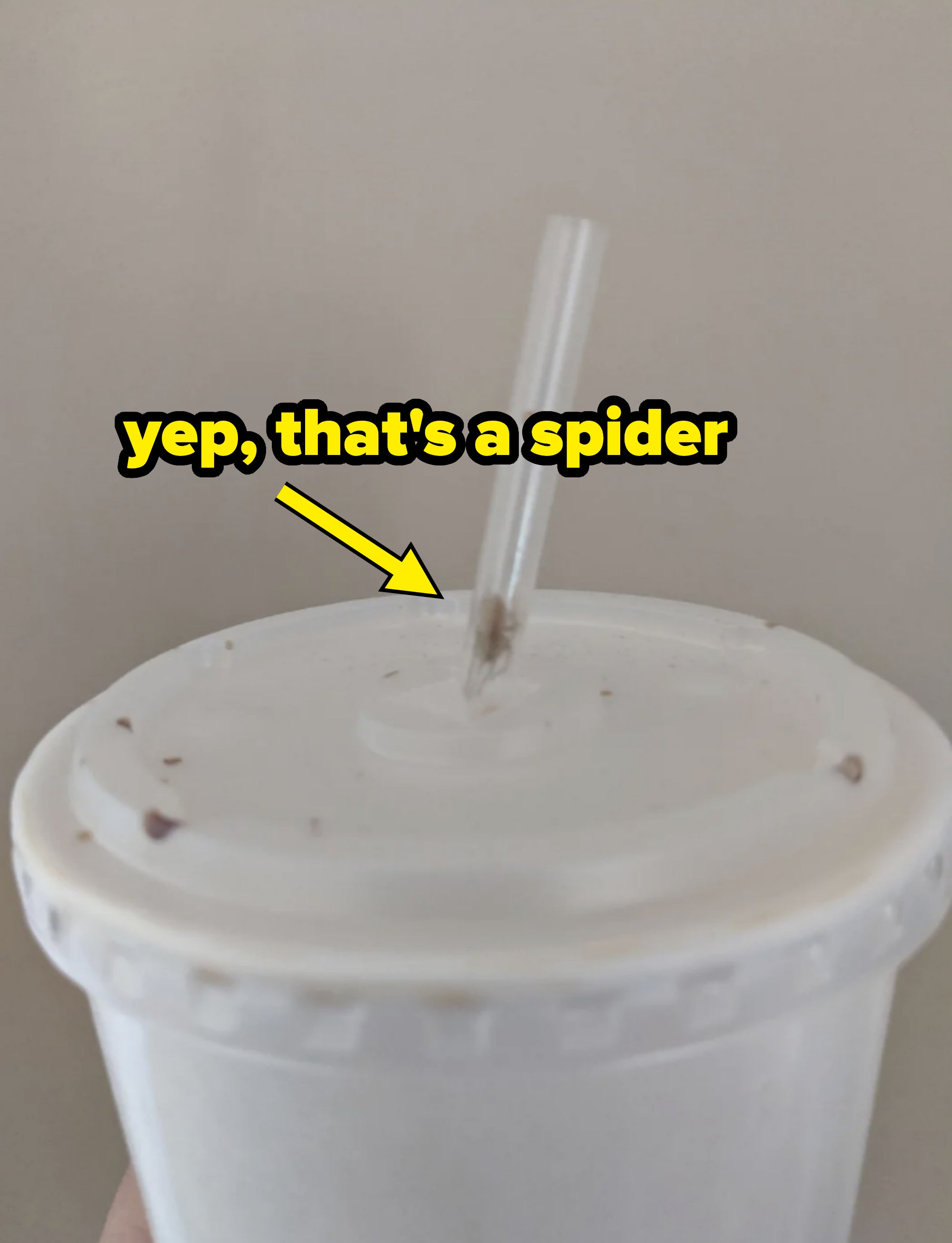 a spider in a straw