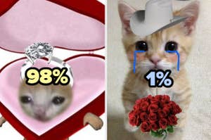 Dos memes de animales graciosos, uno con un hámster y un anillo, otro con un gato, un sombrero y rosas
