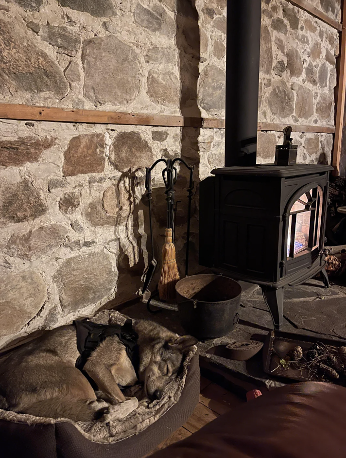 Dog sleeping in a bed beside a wood stove, with fireplace tools nearby