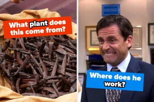 Left: Close-up of vanilla beans. Right: Michael Scott from "The Office" with caption querying his workplace