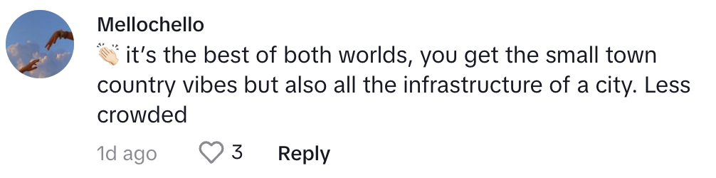 A screenshot of a social media comment praising a place for having both small town vibes and city infrastructure, with 3 likes