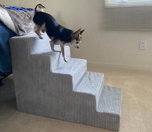 Reviewer's photo of a small dog leaping descending pet steps next to a couch
