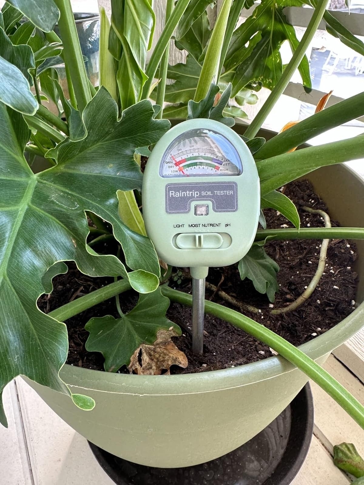 Soil tester inserted in a potted plant indicating moisture, light, and pH levels for gardening enthusiasts