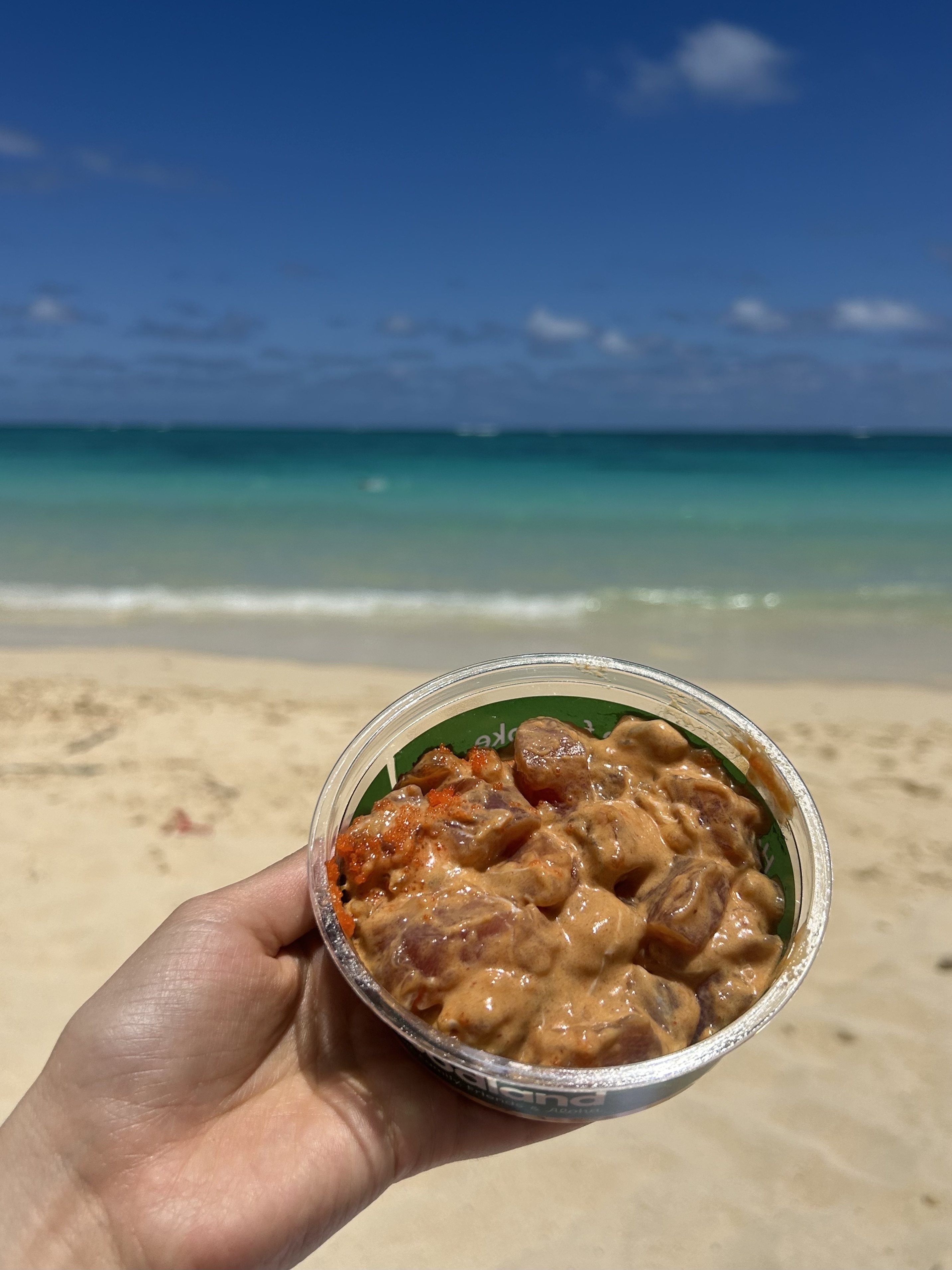 Hand holding a bowl of poke at the beach with waves in the background