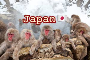 Group of Japanese macaques soaking in a hot spring with "Japan" text and flag overlay